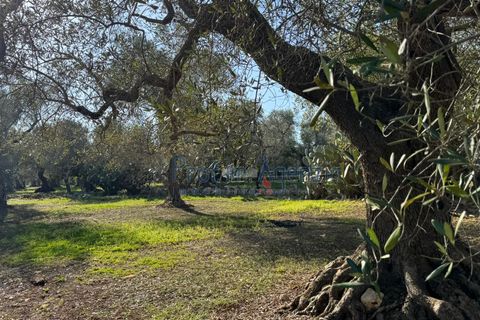 Landejendom i Ostuni, Brindisi, Ostuni - € 53.000 | Ref: 172821 - foto 6